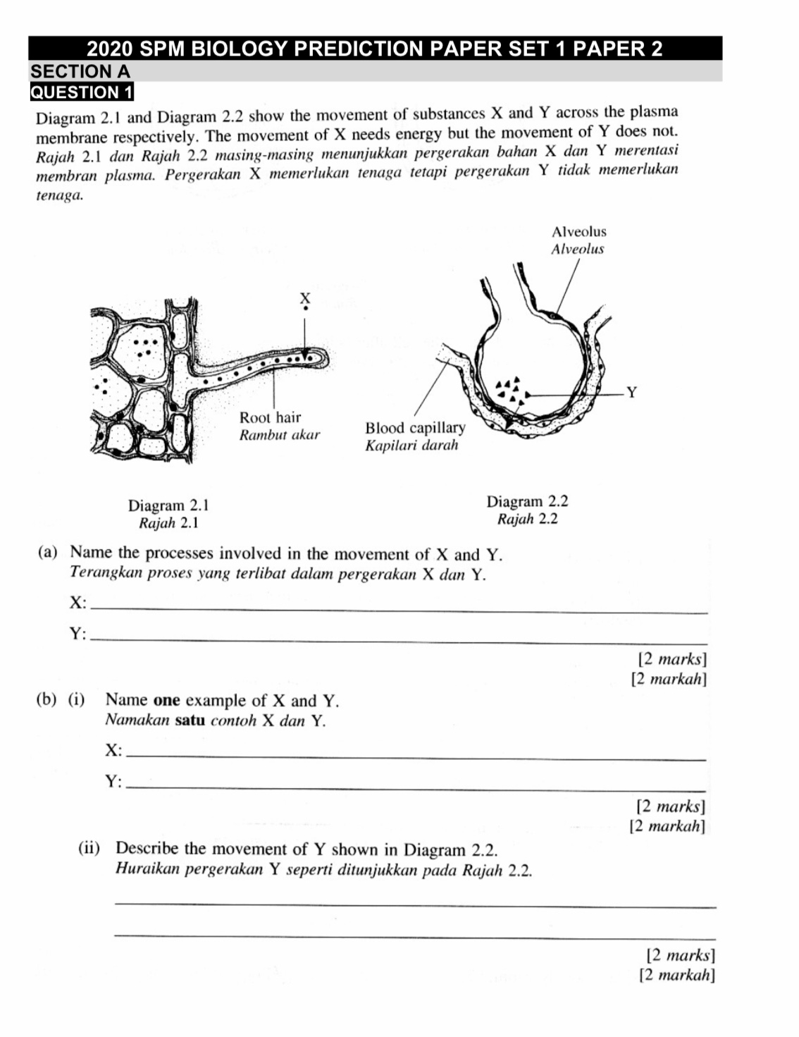 how to answer biology essay questions spm